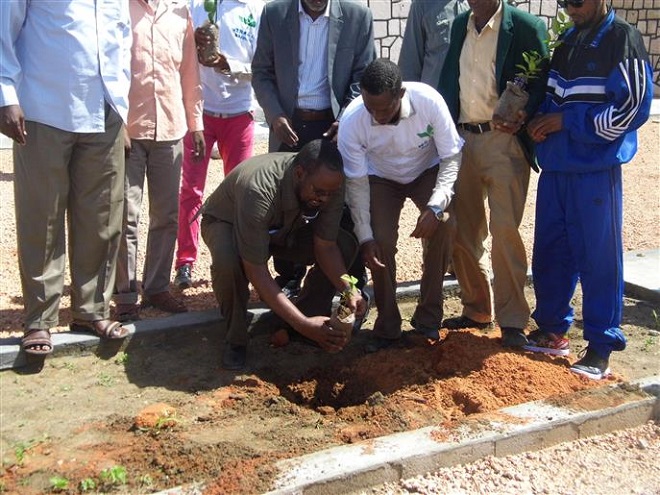 Wararka Maanta Khamiis Jun Maalinta Deegaanka Iyo Dhirta Oo Laga Xusay Magaalada