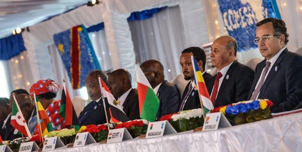 Delegates from the 19 member countries that make up the Common Market for Eastern and Southern Africa attend a summit on February 26, 2014, in Kinshasa. PHOTO | FILE | AFP