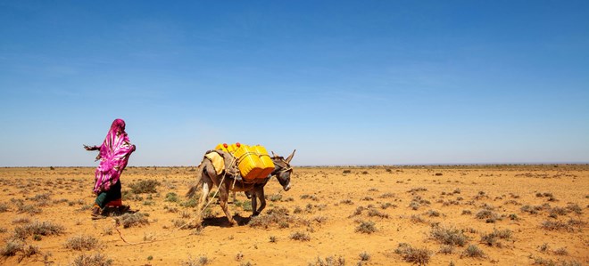 Northwest Somalia has suffered from recurrent droughts over decades.UNDP Somalia