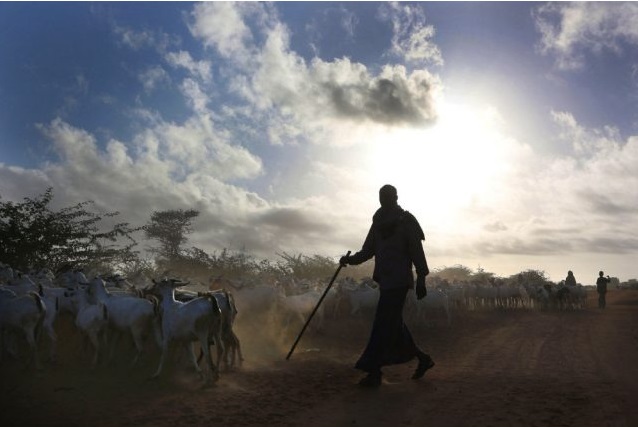 For hundreds of years, Dadaab was home mainly to nomadic herders who drifted across the unmarked border between Kenya and Somalia. When Somalia’s civil war broke out, the United Nations built the camps to shelter 90,000 refugees. Today, Dadaab, if considered a city, would be Kenya’s third largest.