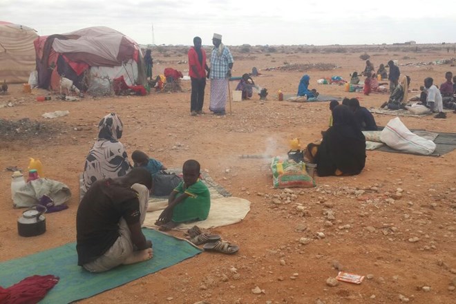 The onset of the rainy season is likely to worsen living conditions for those displaced by violence who are now seeking shelter in the open in the Xaar-xaarka area of Gaalkacyo, Somalia. Photo: OCHA/Guled Isse