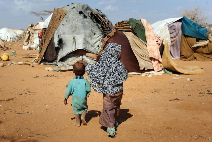 UNHCR urges strong support to stabilize Somalia, countries hosting refugees