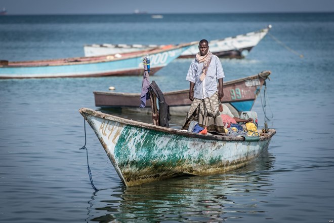 A fisherman comes in with his boat to Bossaso's fishing beach in northern Somalia in late March 2018. (J. Patinkin/VOA)