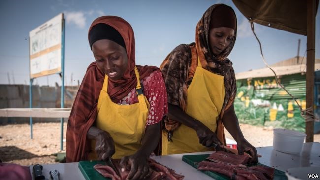 Women slice fresh fish in thin strips to dry for eventual sale as part of a Food and Agriculture Organization program to boost Somalia's fishing industry, in late March 2018. (J. Patinkin/VOA)