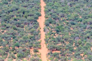 Dagaal beeleed khasaare geystay oo ka dhacay xadka gobolada Hiiraan iyo Shabeellaha Dhexe