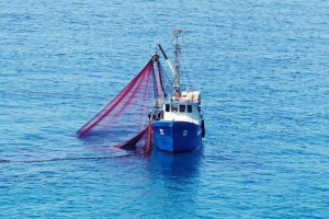 Maraakiibta Shiinaha oo lagu eedeeyay inay si xad dhaaf ah u guranayaan kaydka kalluunka Tuna ee Soomaaliya